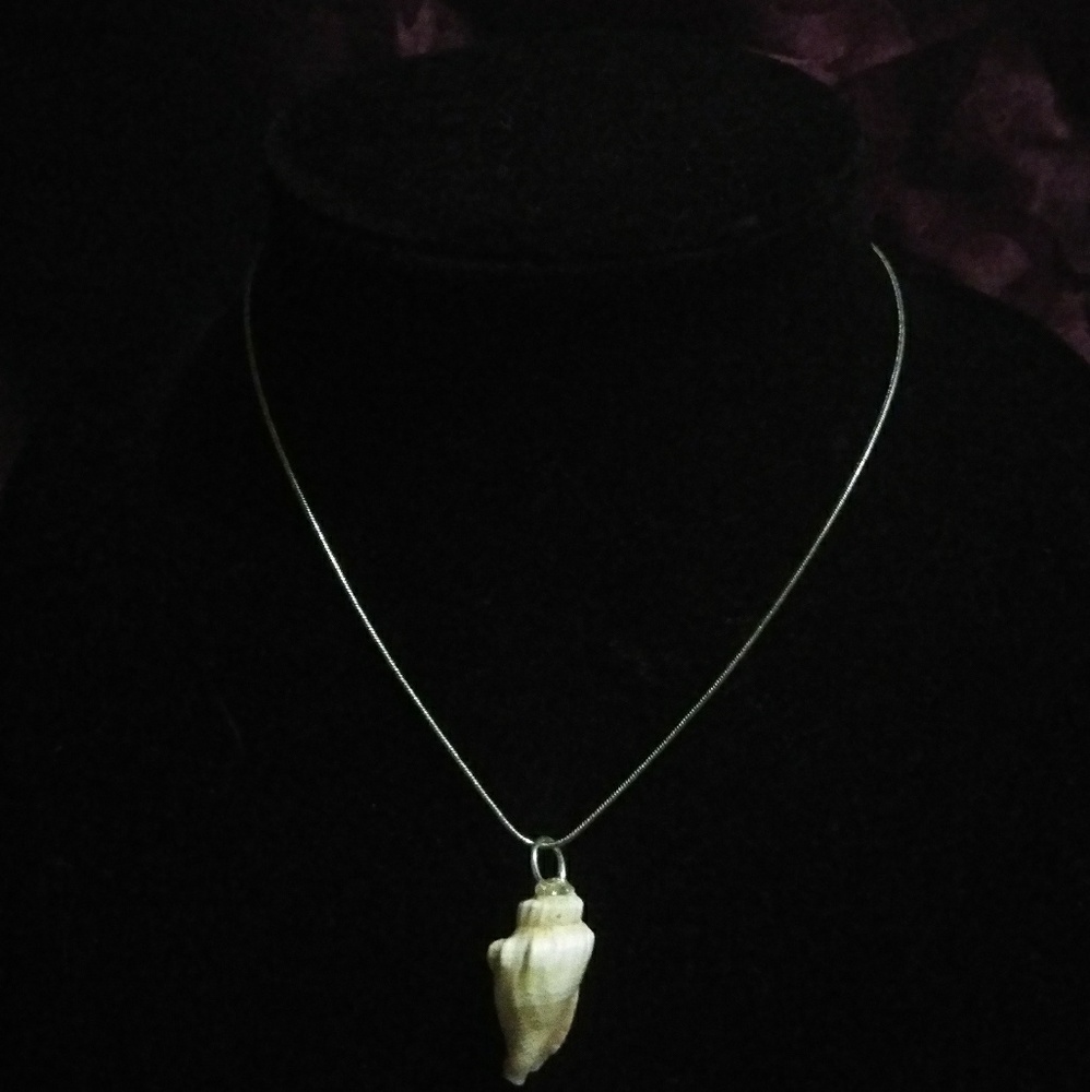 Natural Florida shell necklace in silver tone